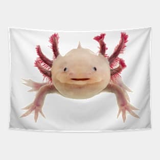 Cute Axolotle Tapestry