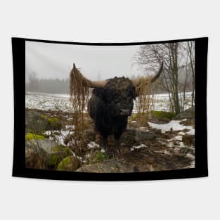 Highland Cattle Bull with big horns Tapestry