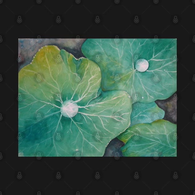 In Rosemary's Garden - Nasturtium Leaf with Dew Drops by Heatherian