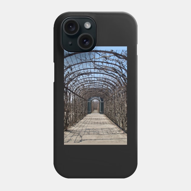 Hallway Phone Case by SHappe