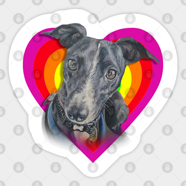 Beautiful whippet in a rainbow heart! - Dog - Sticker