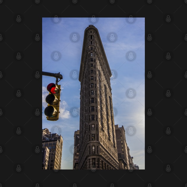 Flat Iron, New York, New York, USA by VickiWalsh