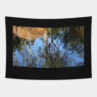 Karijini Gum Tree Reflections Tapestry