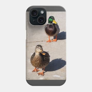 Male and Female Mallard Ducks Waiting On a Sidewalk Phone Case