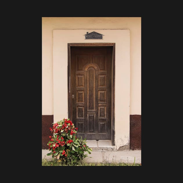The Doors Of Las Flores - 2 © by PrinceJohn