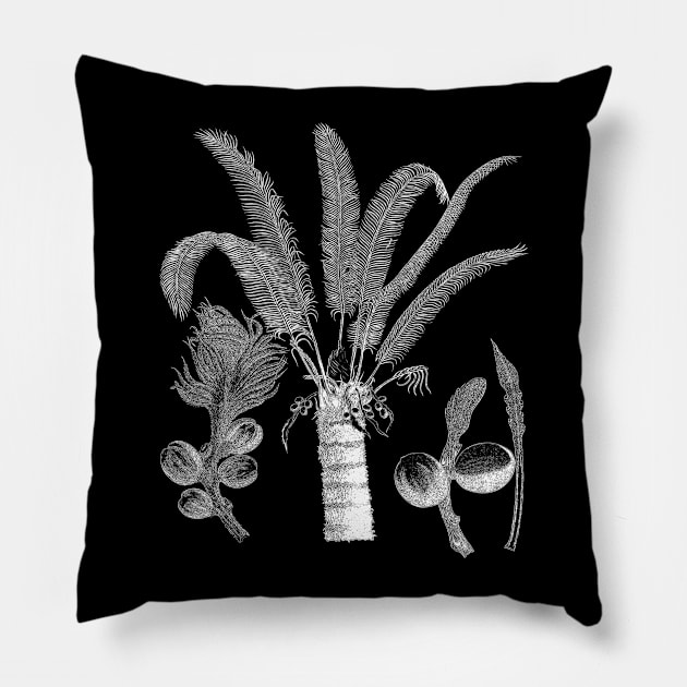 Botanical Palm Plant Pillow by encycloart