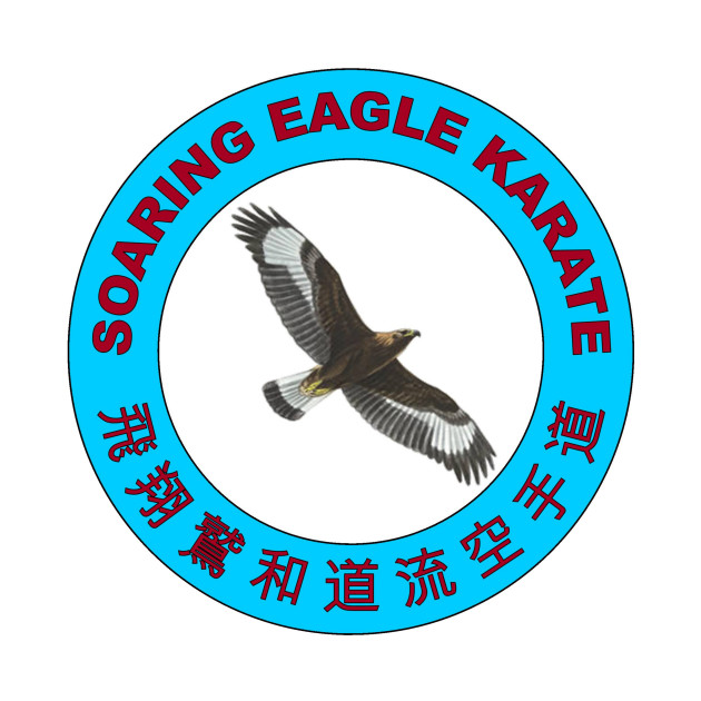 Soaring Eagle Punch by Soaring Eagle Karate