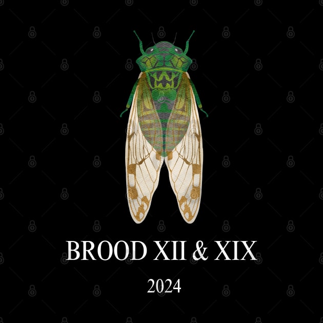 Cicada Brood XIII & XIX 2024 by Dylante