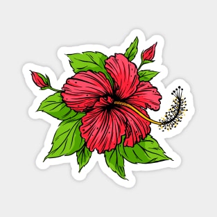 hibiscus flower hand drawn Magnet