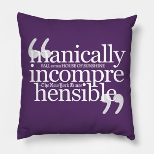 Manically Incomprehensible Pillow