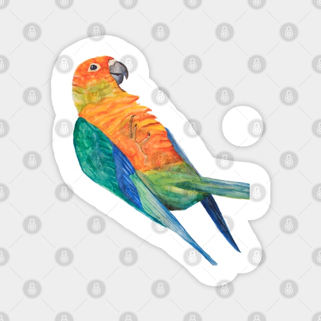 Sun parakeet Print, Bird Prints, Parrot Poster Bresil Animal Wall Art Tropical Bird Art Bird Print Aratinga Art Magnet by Oranjade0122