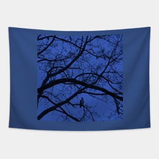 Nightfall in blue Tapestry