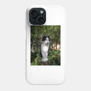 Robby the cat Phone Case