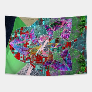 satellite landsat global urban mapping ecopop Tapestry