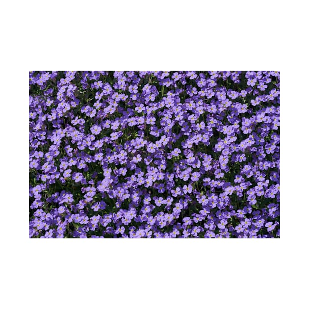 Blooming Purple Flowers by NewburyBoutique