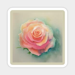 Pink Peach Rose with Turquoise Background Magnet