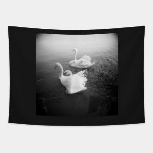 Swan Lake Tapestry