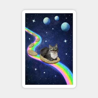 Cat in Space Magnet