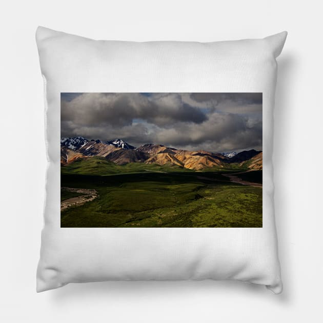 WGC_1250 Pillow by wgcosby