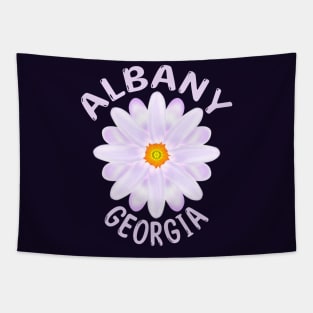 Albany Tapestry