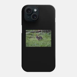 Bunny Phone Case