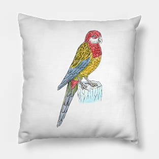 Eastern Rosella Pillow