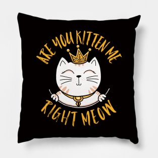 Are you kitten me right meow Cute Pillow