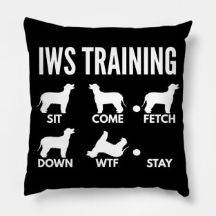 IWS Training Irish Water Spaniel Tricks Pillow