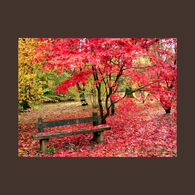 Fallen autumn leaves in the Cotswolds by stevepaint