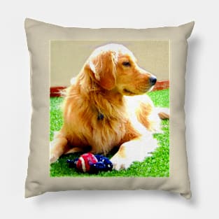 Golden Retriever Dog - Dallas Pillow