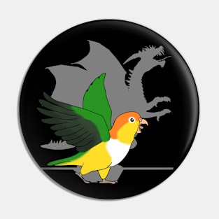 white bellied caique dragon shadow Pin