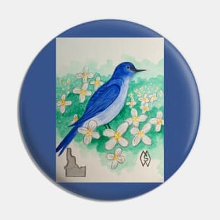 Idaho state bird and flower, the mountain bluebird and syringa Pin