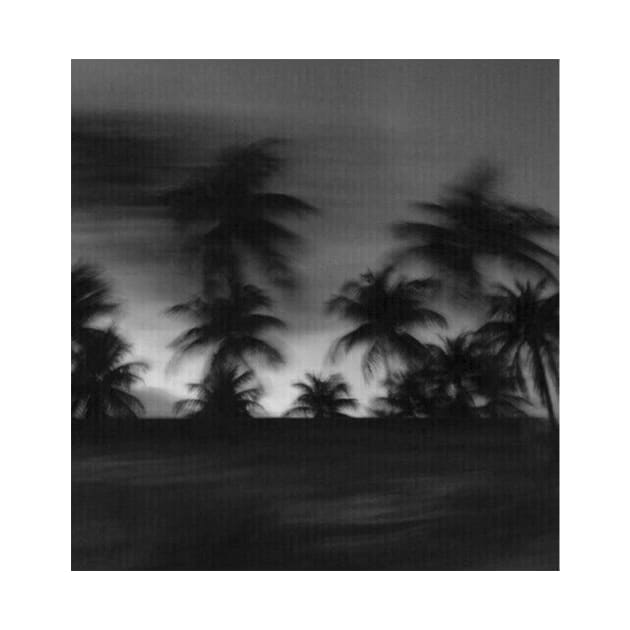 palms by SiciliaAlanovich