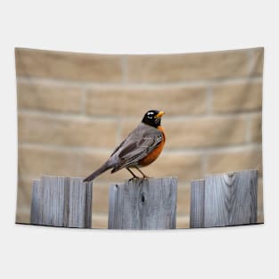 An American Robin Standing On A Fence In My Backyard Tapestry