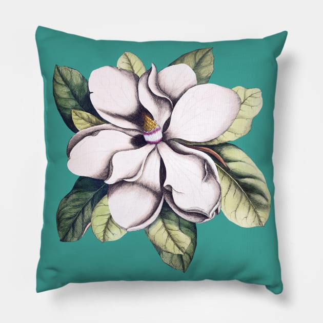 Magnolia Flower Pillow by CatyArte