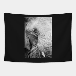 close up of an elephant eating Tapestry