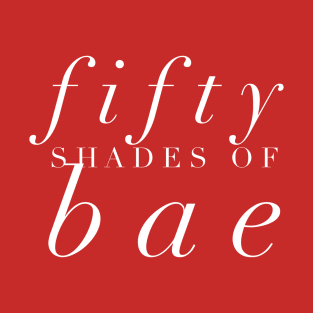 Fifty Shades of Bae Shirt T-Shirt