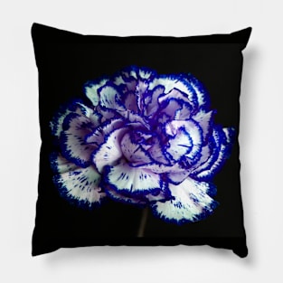 Carnation Portrait 2 Pillow