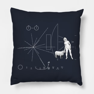 Pioneer plaque Stupid men Pillow