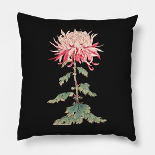 Pink Chrysanthemum 5 - Hasegawa - Traditional Japanese style - Botanical Illustration Pillow