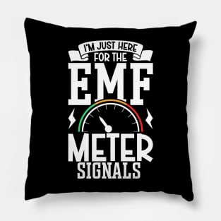 EMF meter signals - Professional Ghost Hunting Pillow