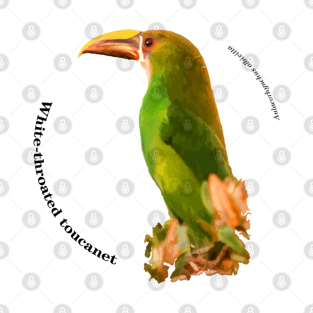 White-throated toucanet tropical bird on top of a tree pin black text by Ornamentum