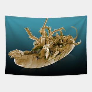 Alien Sci fi Scary Creature lying on back Tapestry