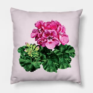 Pink Geranium with Dew Pillow