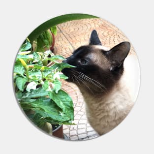 Vegan Siamese cat Pin