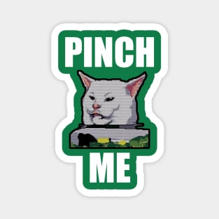 Yelling at Cat Meme - Pinch Me Magnet