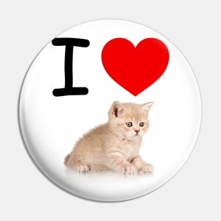 I HEART CUTE FLUFFY TABBY KITTEN Pin