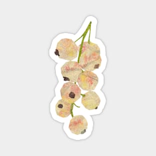 Whitecurrants Magnet