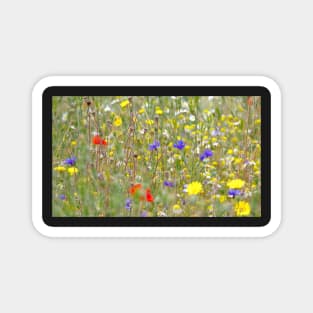 wild flowers meadow Magnet