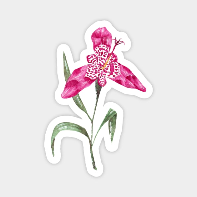 Tiger lily Magnet by nadiaham